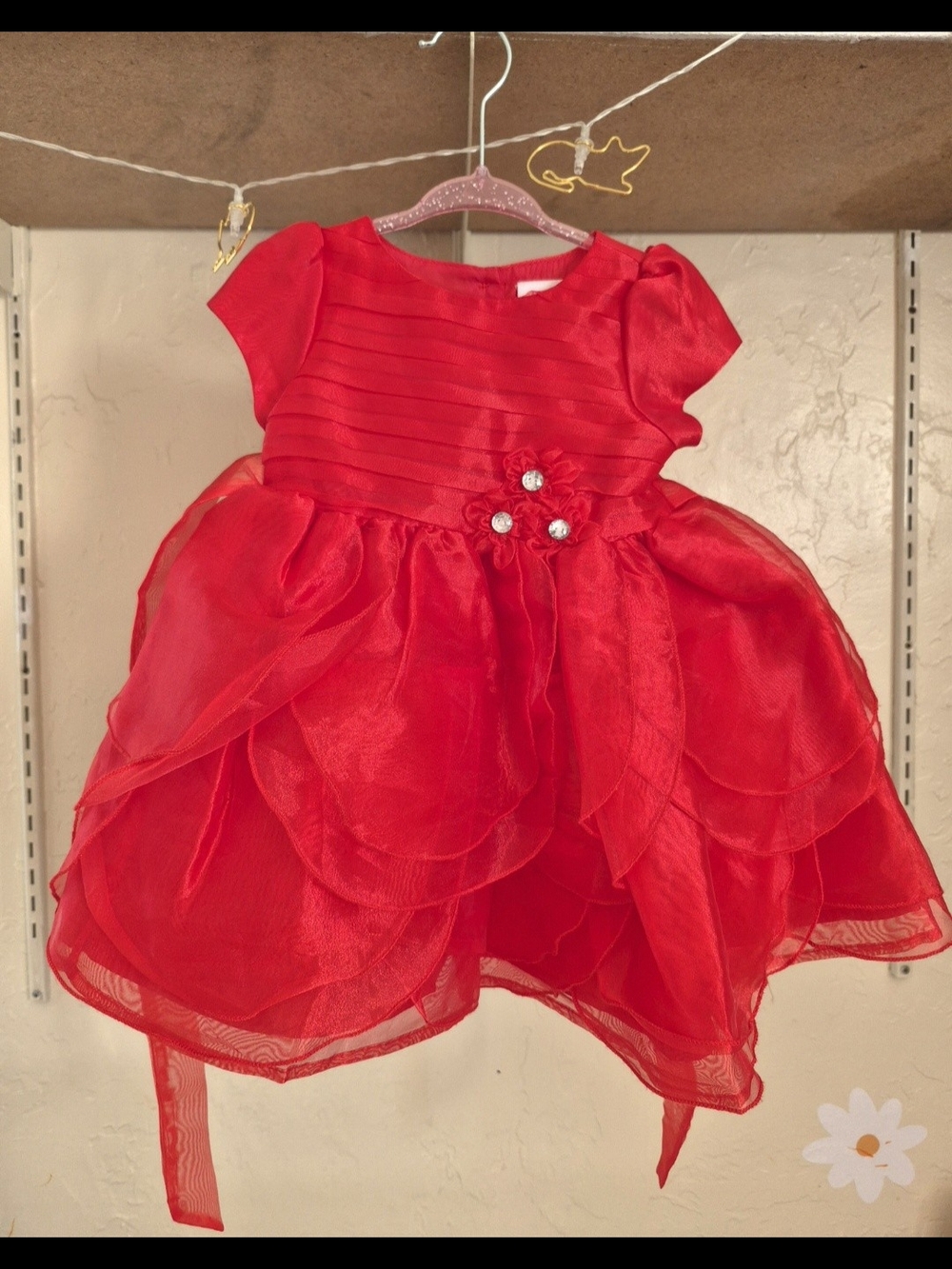 Nanette Baby Red Floral Tulle Party Dress